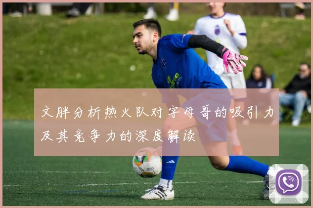 文胖分析热火队对字母哥的吸引力及其竞争力的深度解读