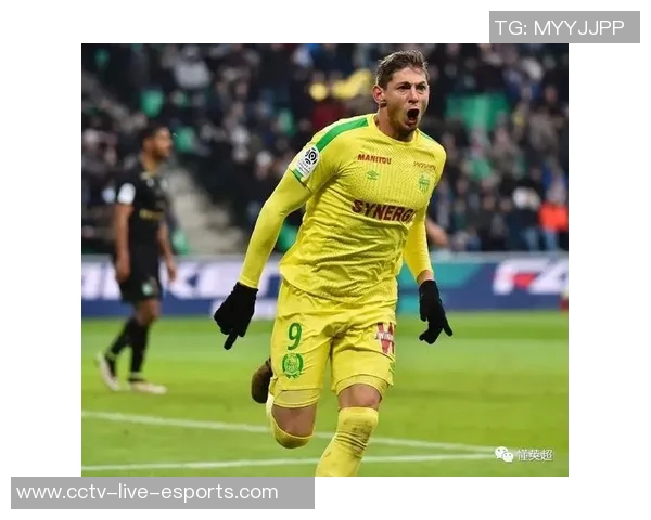 卡迪夫城就萨拉坠机事件向南特提出12亿欧元索赔请求